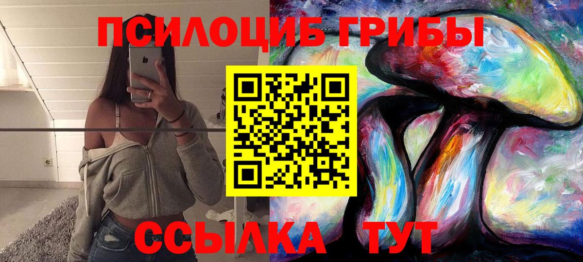 Псилоцибиновые грибы Cubensis Кизилюрт